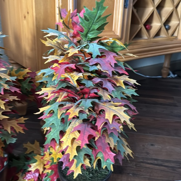 Fall Decorations - Picture 5 of 9